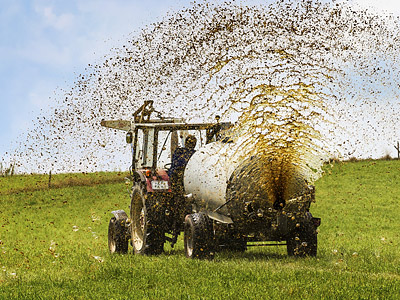 Ein Traktor sprüht Mist auf einem Feld.